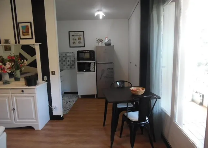 Confort Avec Balcon, Clim, Parking Prive, A 50m Des Thermes Et 100m Du Centre, A Amelie-les-bains - Fr-1-703-59 Apartment *